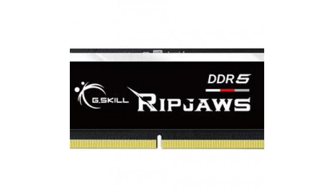 G.Skill Ripjaws F5-5600S4040A16GX1-RS memory module 16 GB 1 x 16 GB DDR5 5600 MHz