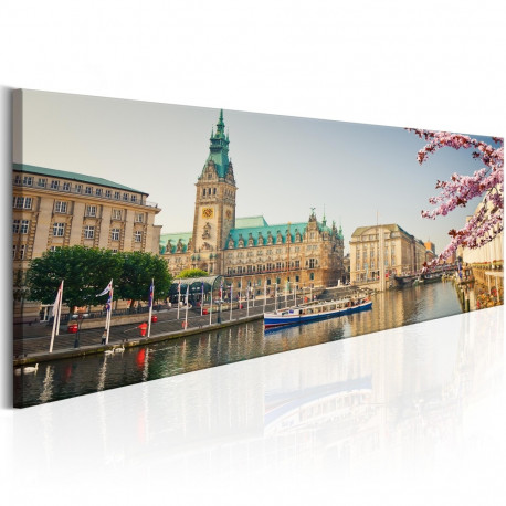 Seinapilt - Hamburg Town Hall - 120x40