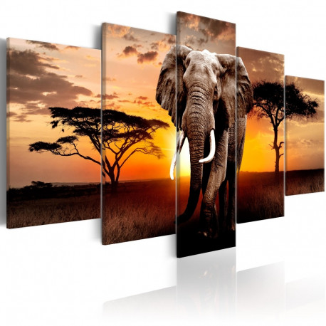 Seinapilt - Elephant Migration - 200x100