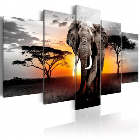 Seinapilt - Elephant at Sunset - 100x50