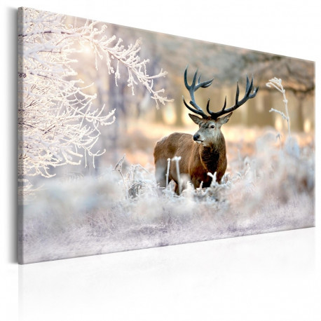 Seinapilt - Deer in the Cold - 120x80