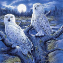 Diamond mosaic - White owls