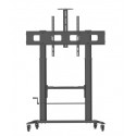 Mobile Stand for Interactive Whiteboards 52-110 inches, 120kg, smooth adjustment