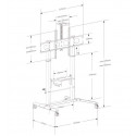 Mobile Stand for Interactive Whiteboards 52-110 inches, 120kg, smooth adjustment