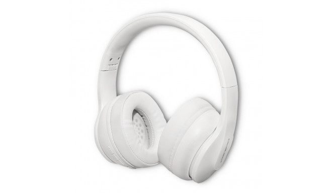 Wireless headphones with microphone, BT 5.0 AB