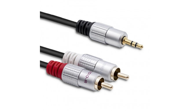 2xRCA Mini Jack 3.5mm kaabel
