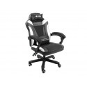 Gaming Chair Fury Avenger M+