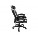 Gaming Chair Fury Avenger M+