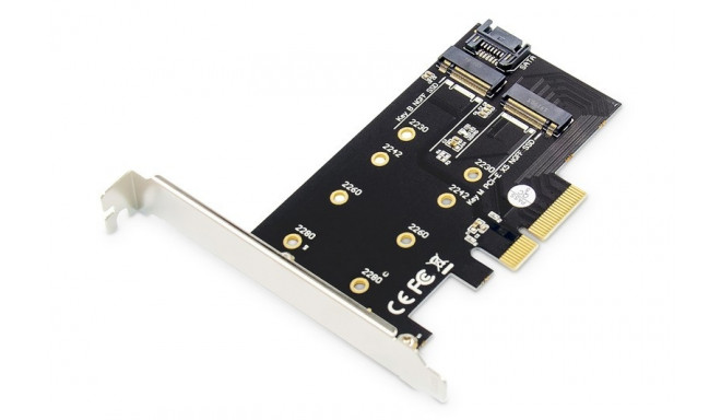 Add-On PCI Express card DS-33170