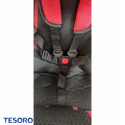 Tesoro Baby tricycle BT- 12 Frame Red-Red