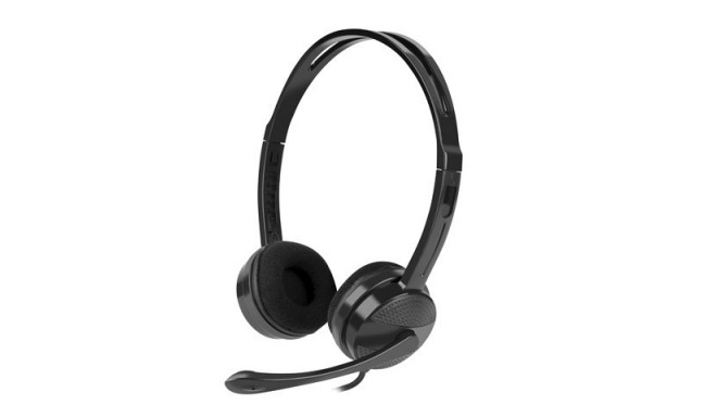 Headset Canary
