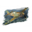 Plastic model P-40B/C Hawk- 81