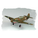 Plastic model P-40B/C Hawk- 81