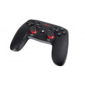 Wireless Gamepad GENESIS PV65 (PC/PS3)