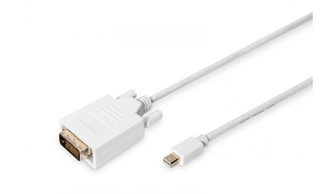 Cable DisplayPort 1.1a mini DP-DVI tyPA MM 2.0m