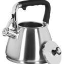 MAESTRO MR-1327 non-electric kettle