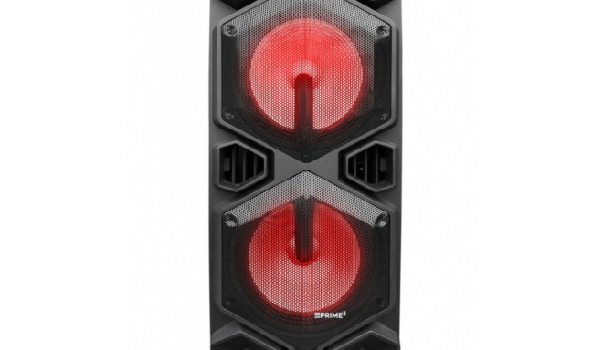 Party speaker APA24 Bluetooth Karaoke