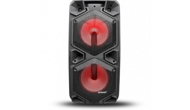 Party speaker Bluetooth APA20
