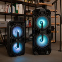 Party speaker APA24 Bluetooth Karaoke
