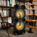 Party speaker APA24 Bluetooth Karaoke