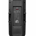 Party speaker APA24 Bluetooth Karaoke