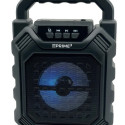 Portable speaker APS09 Bluetooth FM USB