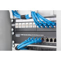 Digitus 254mm (10") Cable management with patchcord access hole