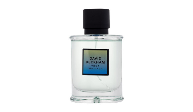 David Beckham True Instinct Eau de Parfum (75ml)