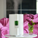 Air humidifier with aroma diffuser AHA501