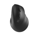 Natec wireless mouse Crake 2, black (NMY-2048)
