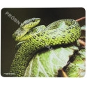 Natec hiirematt Printable, valge
