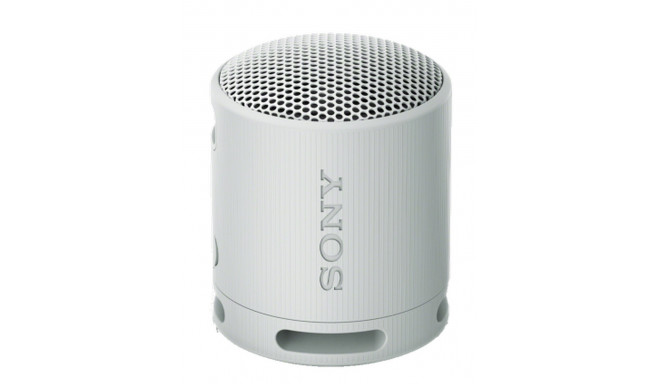 Sony SRS-XB100H