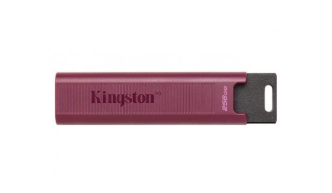 MEMORY DRIVE FLASH USB3.2/256GB DTMAXA/256GB KINGSTON