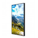 HISENSE WINDOW FACING DISPLAY FHD/2500NIT 55WF25E