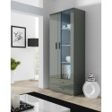 Cama display cabinet SOHO S6 2D2S grey/grey gloss