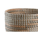 Grozs DKD Home Decor 28 x 28 x 22 cm Tropiskais Jūraszāle