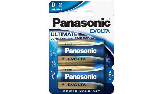 Panasonic Evolta батарейки LR20EGE/2B