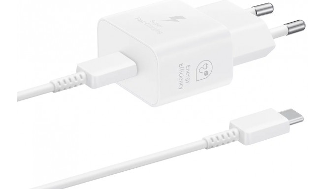 Samsung EP-T2510XWEGEU 25W reisilaadija USB-C + USB-C kaabel 1M valge
