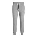 Adult's Tracksuit Bottoms Jack & Jones JPSTGORDON 12225078 Grey Men - S