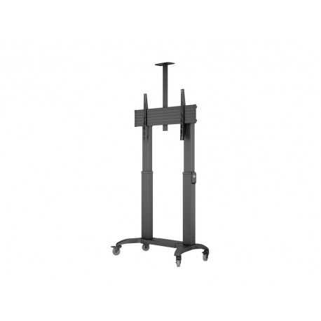 M MOTORIZED PUBLIC FLOORSTAND DUAL PILLAR 180 HD