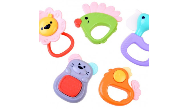 Hola kõrinate komplekt, 5 osa