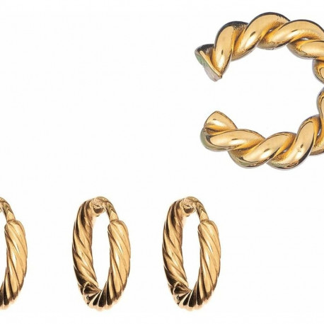 Ladies' Earrings AN Jewels AB.EP048