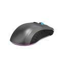 Thunderobot Dual-Modes Gaming mouse ML703 (black)
