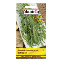PLATINET SEEDS ESTRAGON 0,05 G