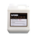 ILFORD GALERIE CANVAS PROTECT GLOSSY 4L