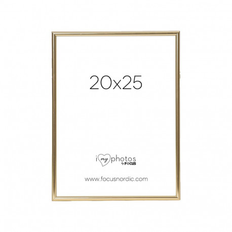 Focus Can-Can Shiny Gold 20x25