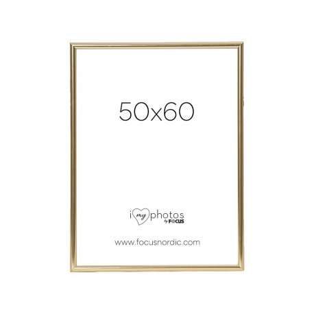 Focus Can-Can Shiny Gold 50x60