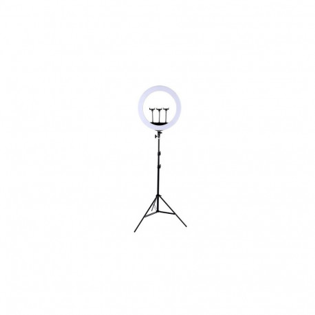 Extra Digital ringvalgusti LED 45cm + statiiv 2,1m