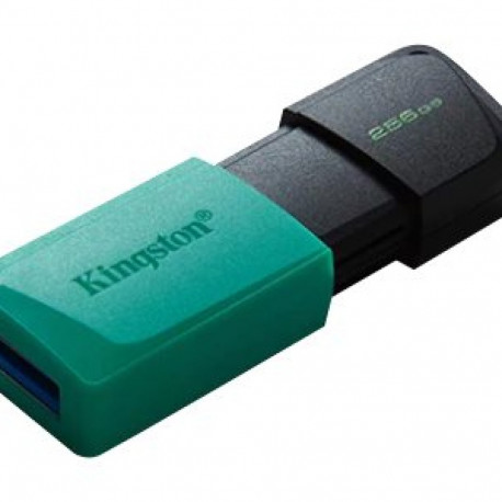 KINGSTON 256GB DataTraveler Exodia M mälupulk