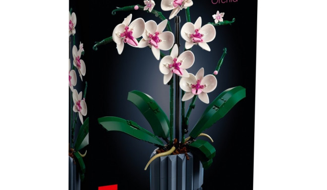 Bricks Botanicals 10311 orhidee